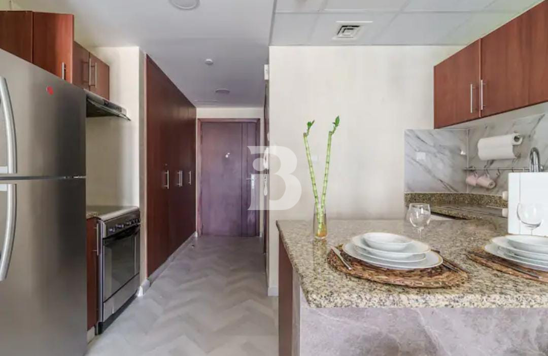 STUDIO | FURNISHED | UPGRADED | SPACIOUS