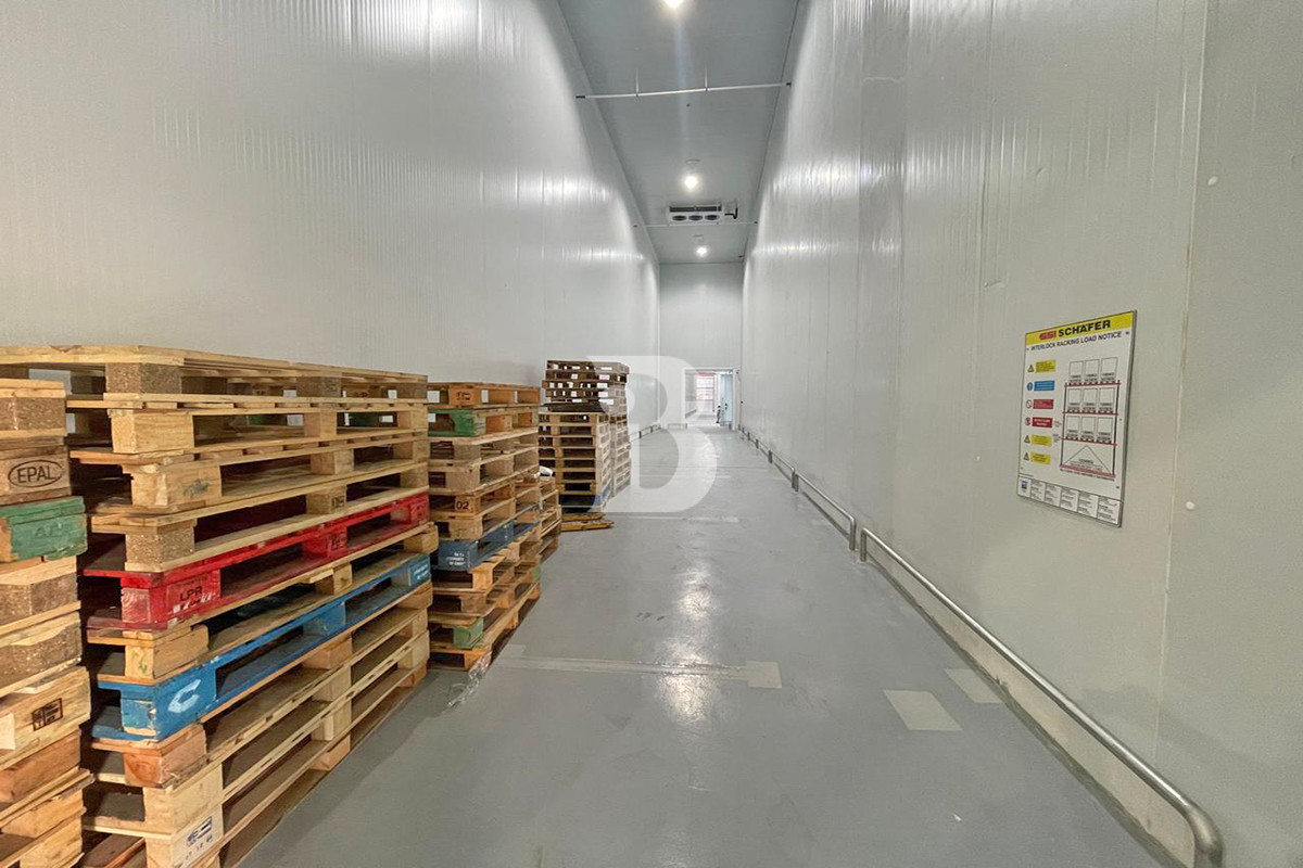 HUGE COLD STORAGE | BILLS INCLUDED | BRAND NEW