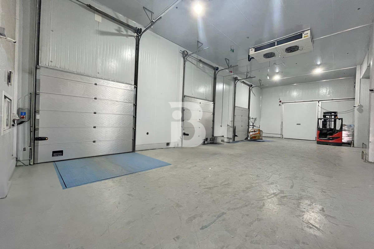 HUGE COLD STORAGE | BILLS INCLUDED | BRAND NEW