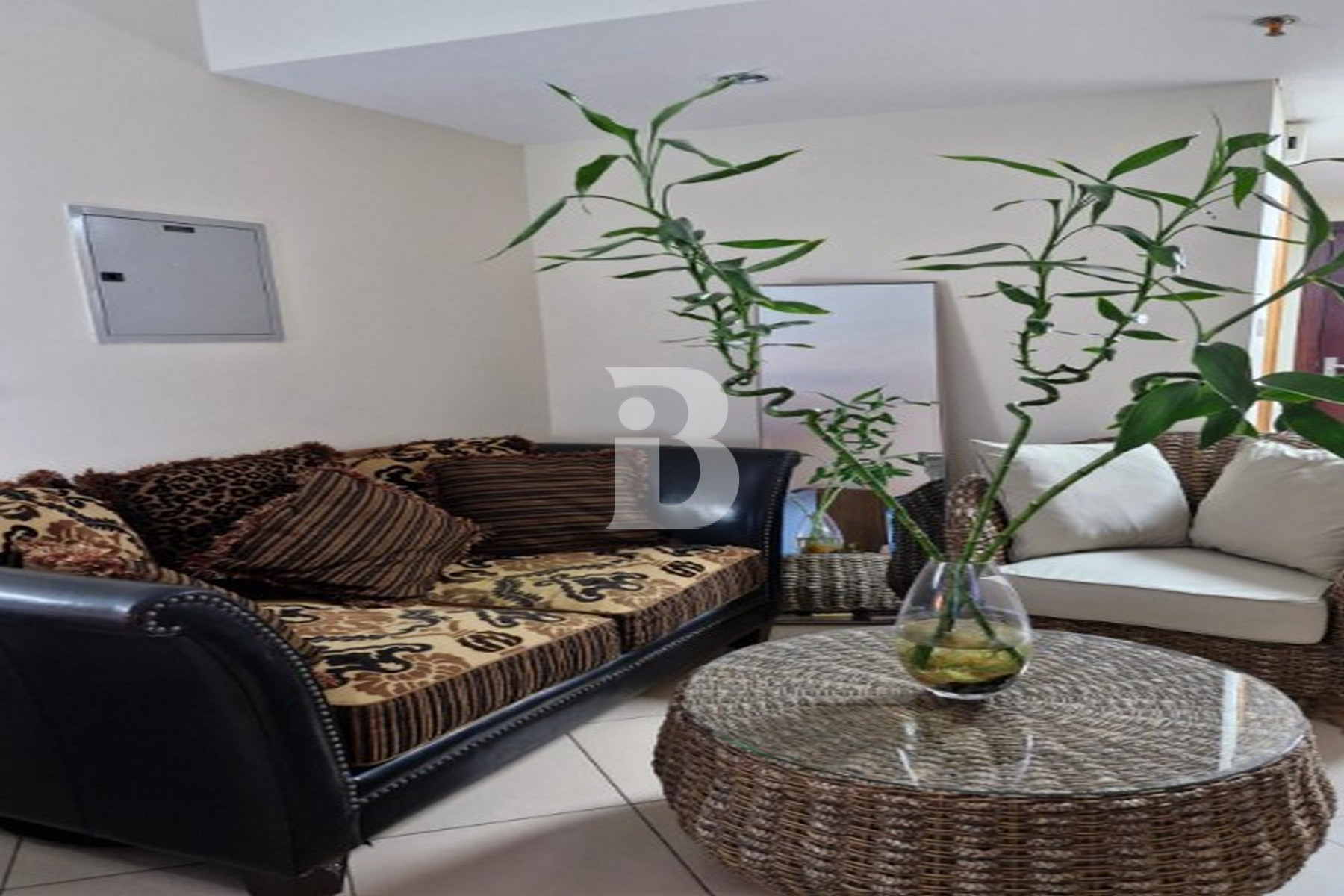 Fully Furnished | Chiller free | 1st Aug 2025 