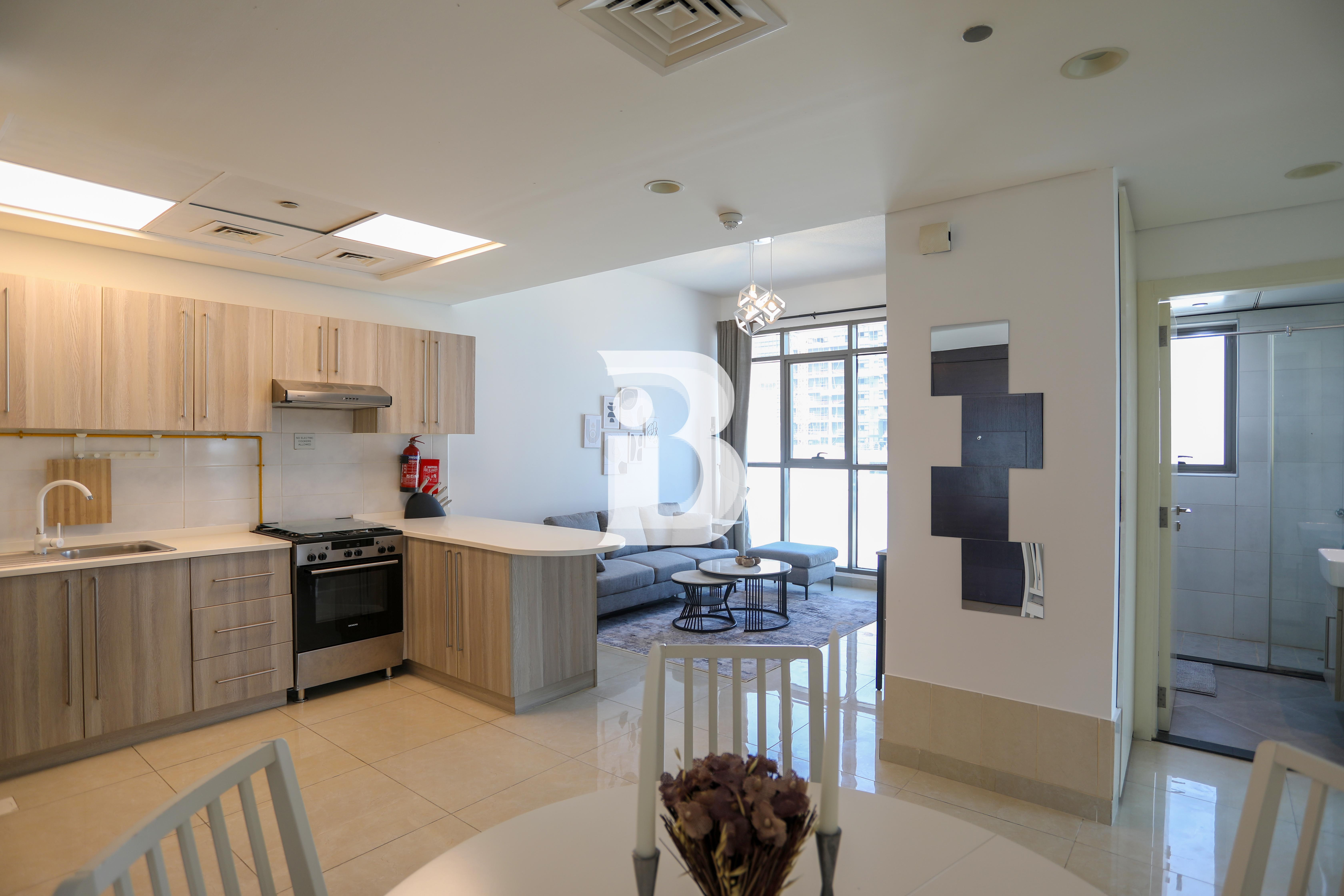 FULLY FURNISHED |AVAILBALE IN 1 MONTH | SPACIOUS