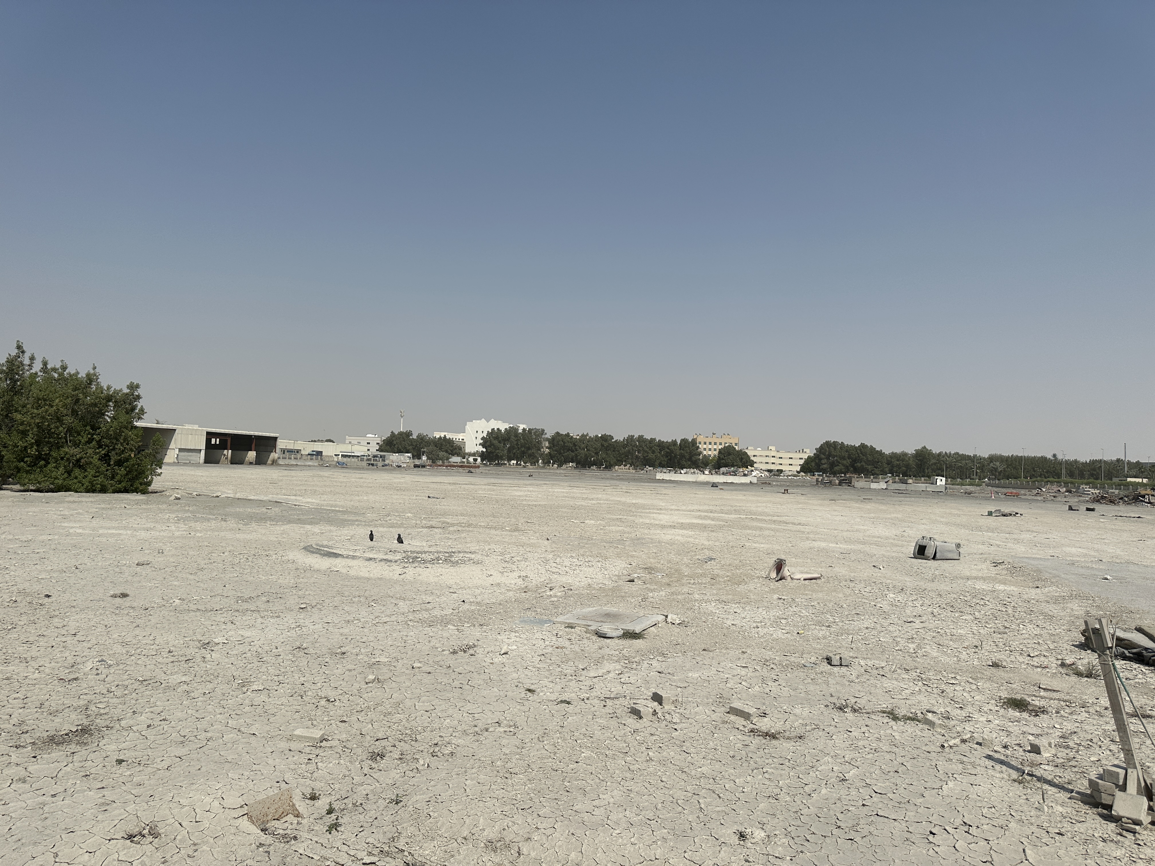 LAND | JEBEL ALI | OPEN LAND | MAINLAND | 31K SQFT