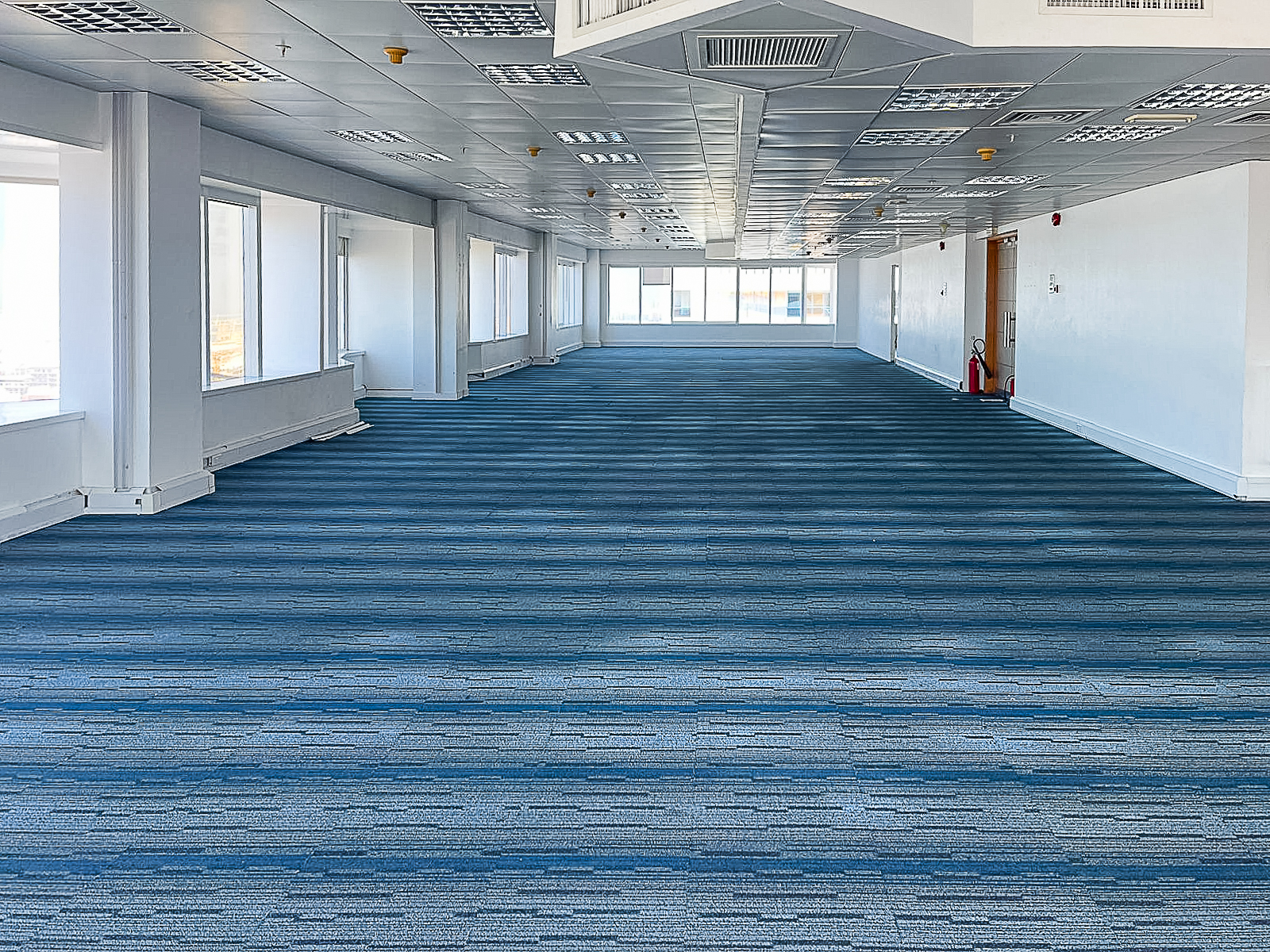 Premium Full and Half commercial High floor